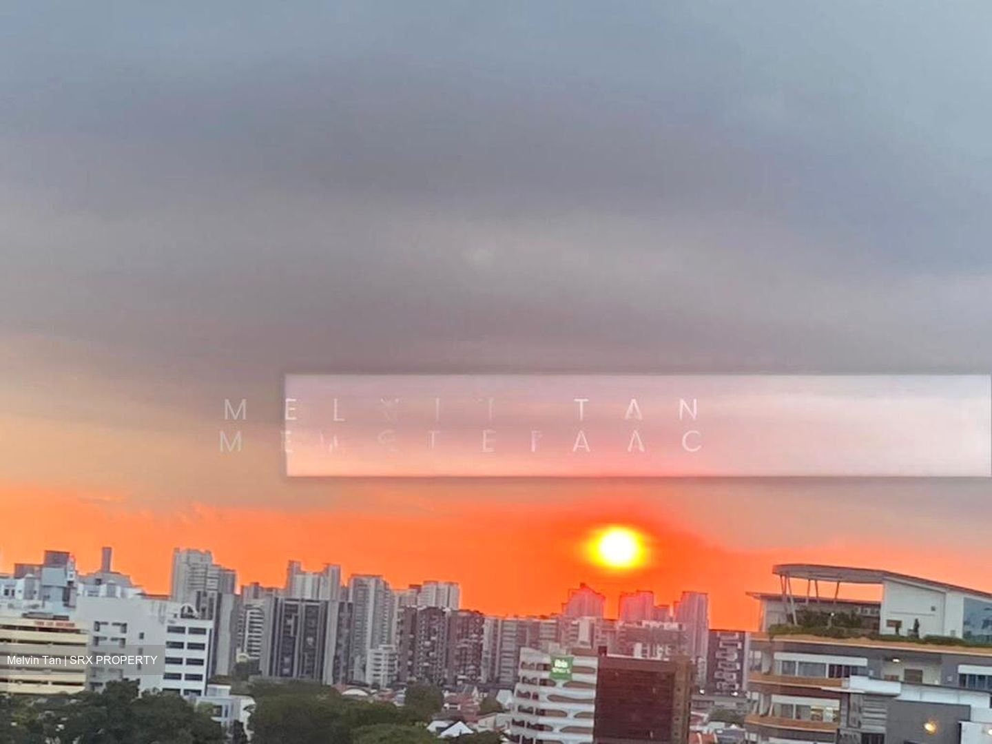 Sky Green (D13), Condominium #501880391